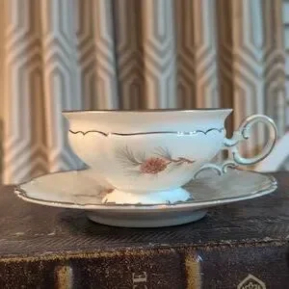 Vintage Hutschenreuther Selb Tea Cup and Saucer